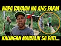 BAKIT GANITO NA ANG FARM NI  KUYA VAL? | @KalingapRAB