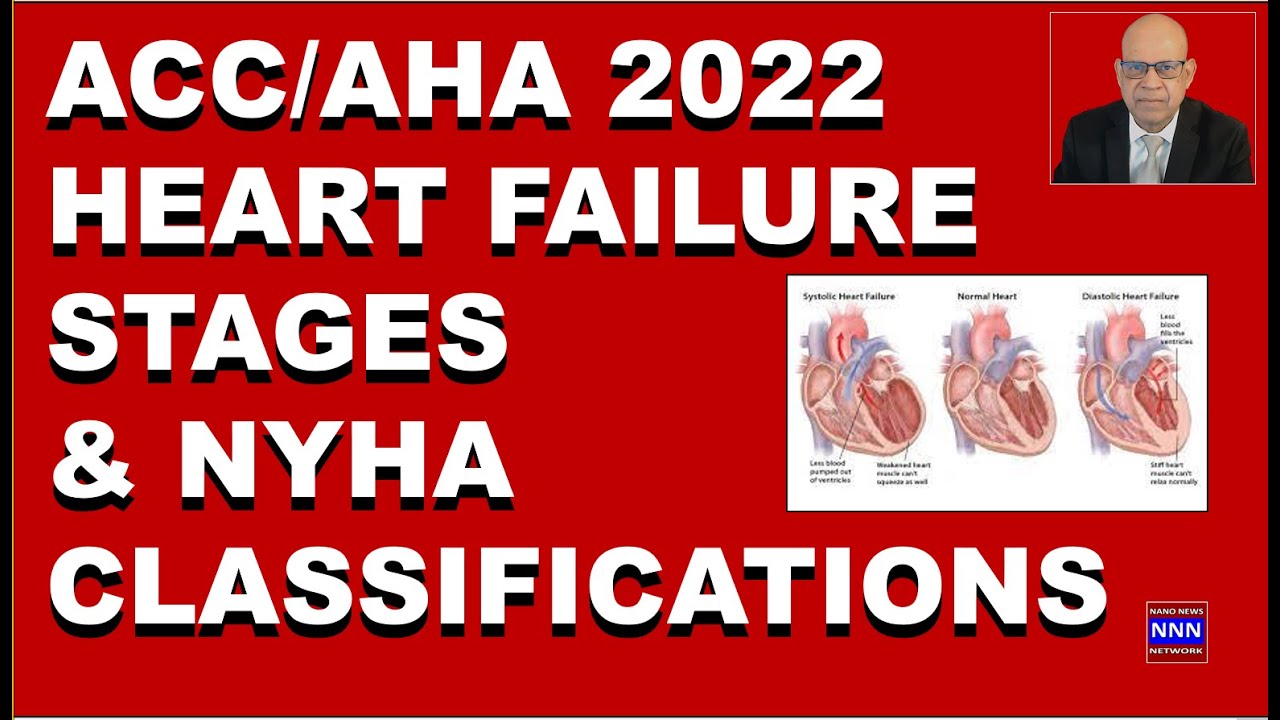 ACC AHA Guidelines 2022 Heart Failure Based on Structure Function