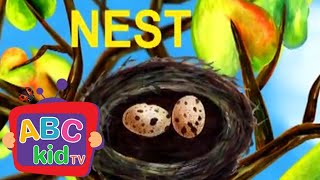 "N" is for Nest! 🐦 | ABC Kid TV Nursery Rhymes & Kids Songs