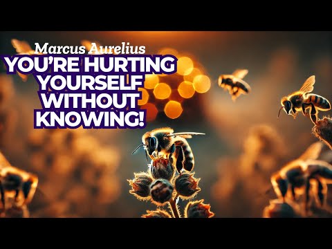Today's ASKfirmations: The Hive & The Bee – Marcus Aurelius' Secret to