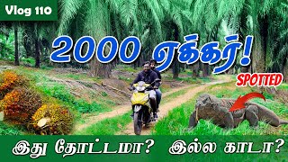 அட்டகாசமான Estate? | 2000+ Acre Palm Tree Plantation | Malaysian Village Life ?? 4K Tamil