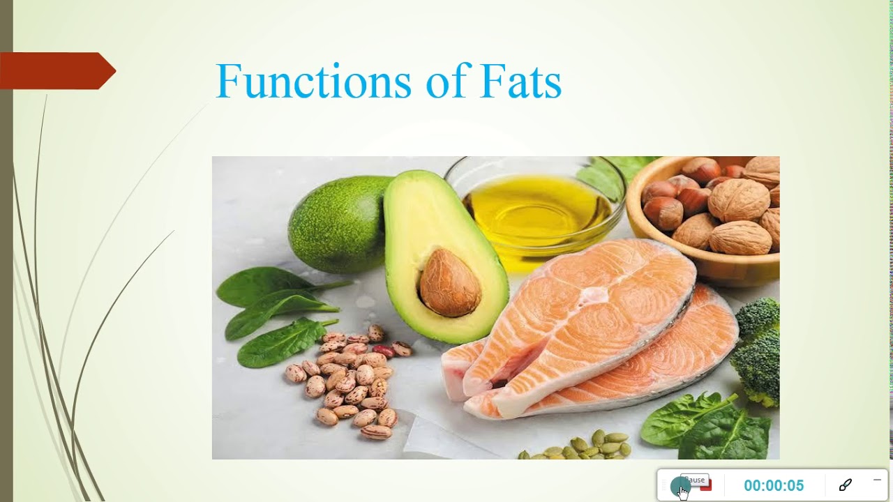 Functions Of Fatsfor Css And Pms Aspirantsfood Science Youtube