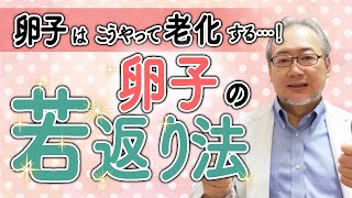 【卵質向上】卵子の質を改善する！　これができれば妊娠力がアップする！！