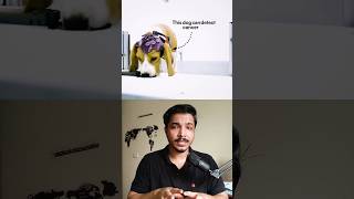 This startup trained dogs to smell your cancer #deeptech #bengaluru