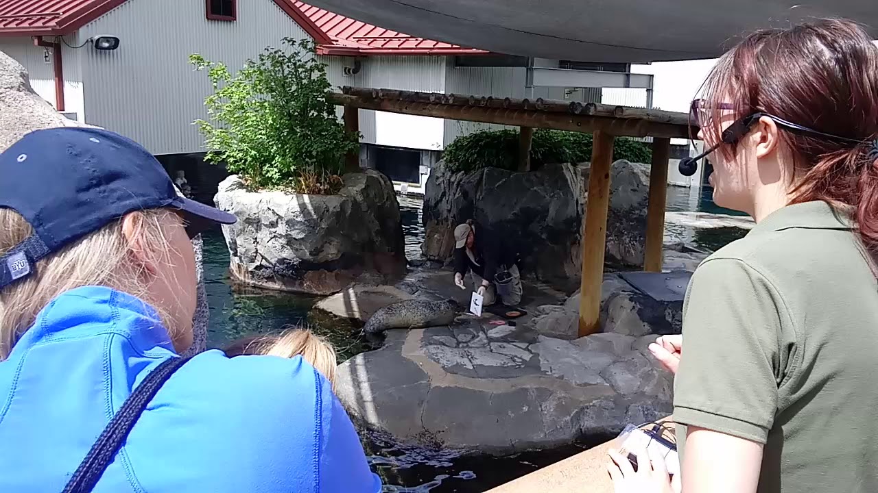 5/29/19 SALT LAKE CITY ZOO YouTube
