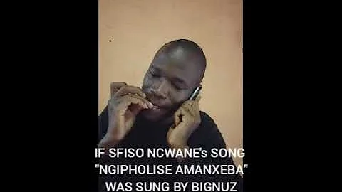 If Sfiso Ncwane's Song "NGIPHOLISE AMANXEBA" was sung by Bignuz🤣