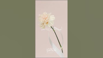 وإذا سألك عبادي عني فإن قريب -من سورة البقرة -القارئ إسلام صبحي