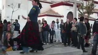 flo6x8 Baile flamenco en la banca: ¿por qué no?