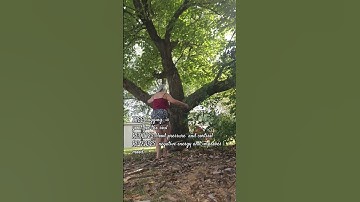 Tree Hugging #nature #treehugger #backyardvibes #reducebloodpressure