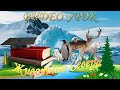 Животные Севера (видео урок для детей от 3 до 5 лет)