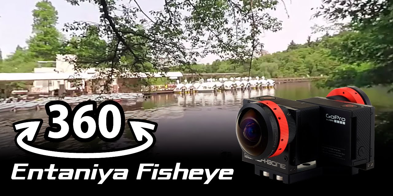 360 VR：Inokashira Park Duck：Entaniya Fisheye 250  for 1/2.3" sensor