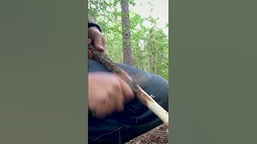 Worm Grunting Tips #shorts