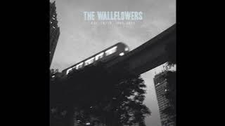 One Headlight - Wallflowers HQ (Audio)