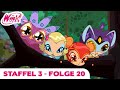 Winx Club - GANZE FOLGE - Mission der Elfen - Staffel 3 Folge 20