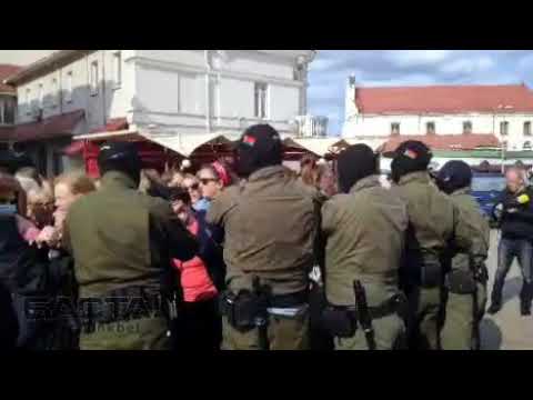 Видео: Эта группа женщин в Антарктике приняла участие в Женском марше