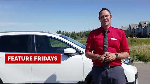 2020 Honda CR-V Remote Start + Key Fob Tricks