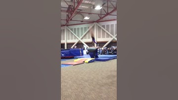 Layout yurchenko vault