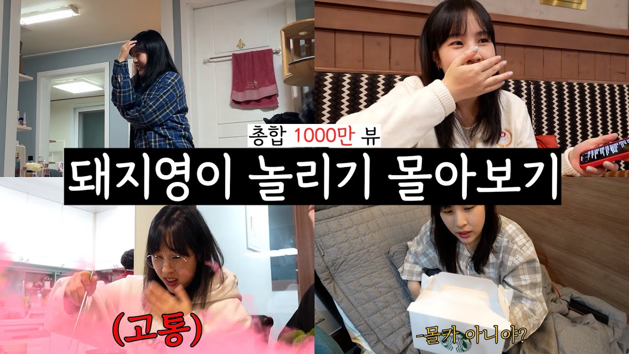 영이 돼지 놀리기 몰아보기ㅋㅋㅋ