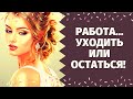 ЧТО ВАС ЖДЕТ В СФЕРЕ РАБОТЫ? УЙТИ ИЛИ ОСТАТЬСЯ? СТОИТ ЛИ УВОЛЬНЯТЬСЯ?