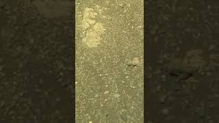 Macro vs micro. Sol 1,650. Right Mastcam-Z and WATSON both found the impossible. 💀😳🚀