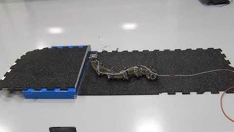 Design, Analysis, and Real-Time Simulation of a 3D Soft Robotic Snake