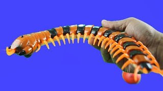 Mainan hewan lipan bisa jalan | Scolopendra Creepy Crawlers toy | walking animal toys