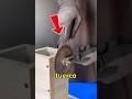 ¡WOW! Cómo hacer una SIERRA CASERA con solo un TALADRO – DIY Fácil y Sorprendente