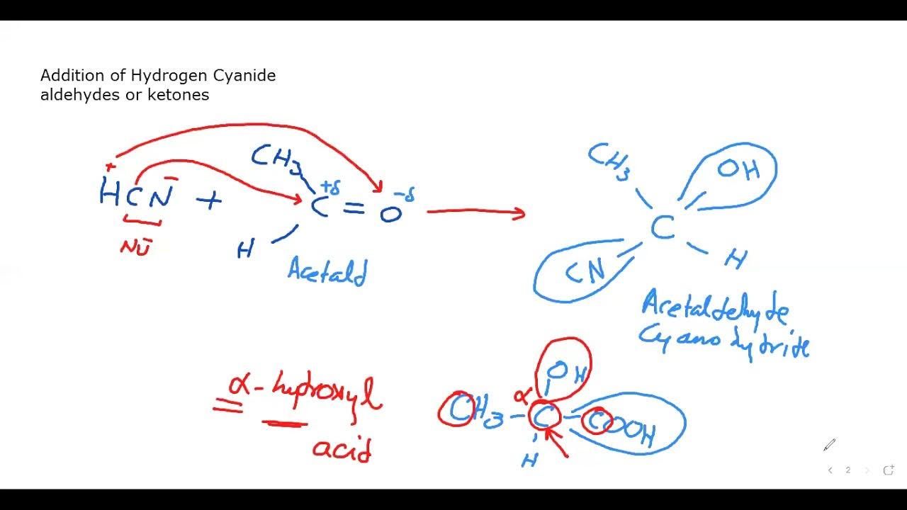 Base -Catalysed Nucleophilic Addition of HCN and Sodium BiSulfite Class ...