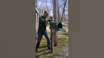 Ted Stuff and Saltbox Rescue