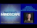 Mindscape 115 | Netta Engelhardt on Black Hole Information, Wormholes, and Quantum Gravity