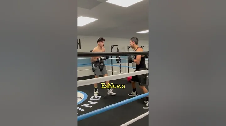 Pro boxer Tayden Beltran Sparring A Bully That Use...