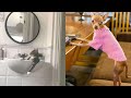 Funniest Cat And Dog Videos/All Compilation (Best Funny Moments)