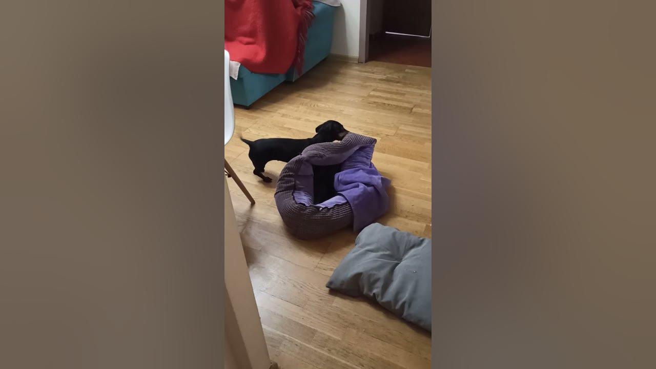 Дестрой - 2 - YouTube