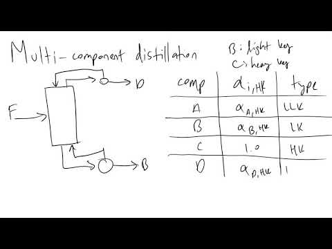 Vídeo: Multi Componente