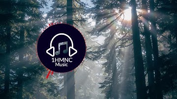 Kevin MacLeod - 8bit Dungeon Level - Video Classica [Dance & Electronic]