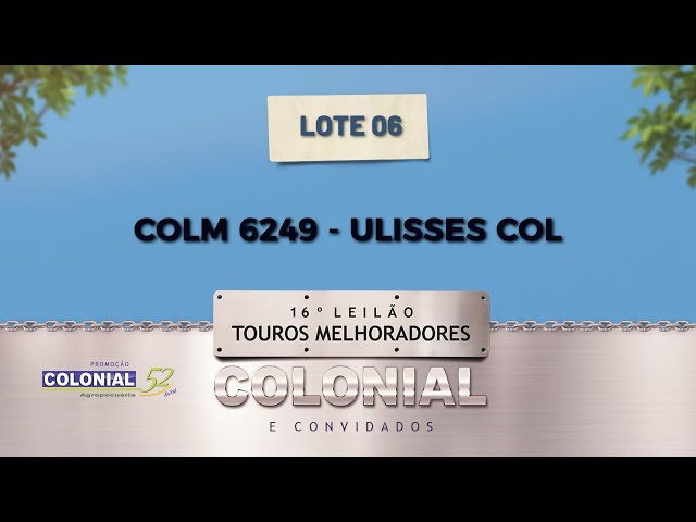 LOTE 06 COLM 6249