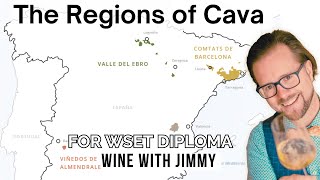 Unveiling the Secrets of Spanish Sparkling Wine: A Deep Dive into Cava Regions for WSET Level 4