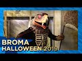 Broma a jugadores del Club América HALLOWEEN 2019