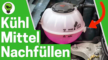 Wie viel kostet es Kühlflüssigkeit nachfüllen?