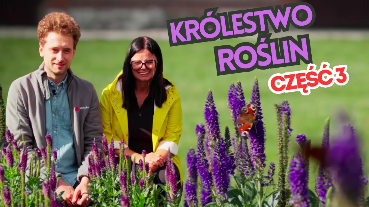 KRÓLESTWO ROŚLIN CZĘŚĆ 3 | Kasia in