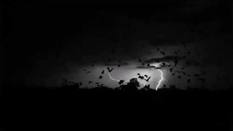 NDG ft Gsaias . Mony & Weed