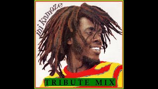 iNi Kamoze Tribute Mix 🇯🇲