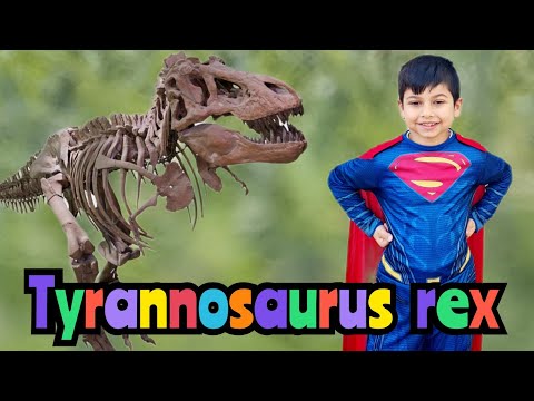 Video: Dinosaurieskelett. Museer med dinosaurieskelett