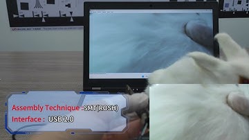 8MP 4K IMX415 CMOS Sensor USB2.0 Camera Module