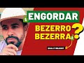 QUAL É MELHOR PARA ENGORDAR NA PECUÁRIA? Bezerro ou bezerra? Macho, fêmea? Vantagens e desvantagens