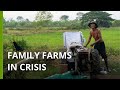 Uncertain future for cambodias smallscale rice farmers