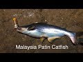 Umpan Ikan Patin (Greenbait Mocha oil Malaysia fishing bait) 八丁鱼钓饵