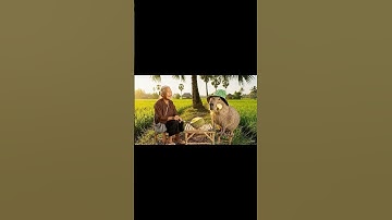 Capybara Siêu Quậy | Bà cùng Capy mukbang sầu riêng... #capybara #viral #funny #spacemedia