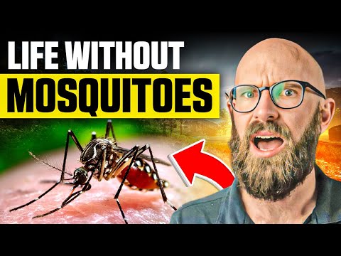 Video: Zou het ecosysteem worden aangetast zonder muggen?