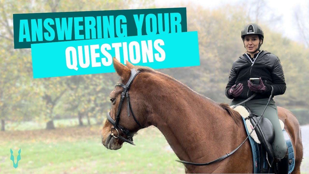 Equestrian Q&A TRUE Horses YouTube